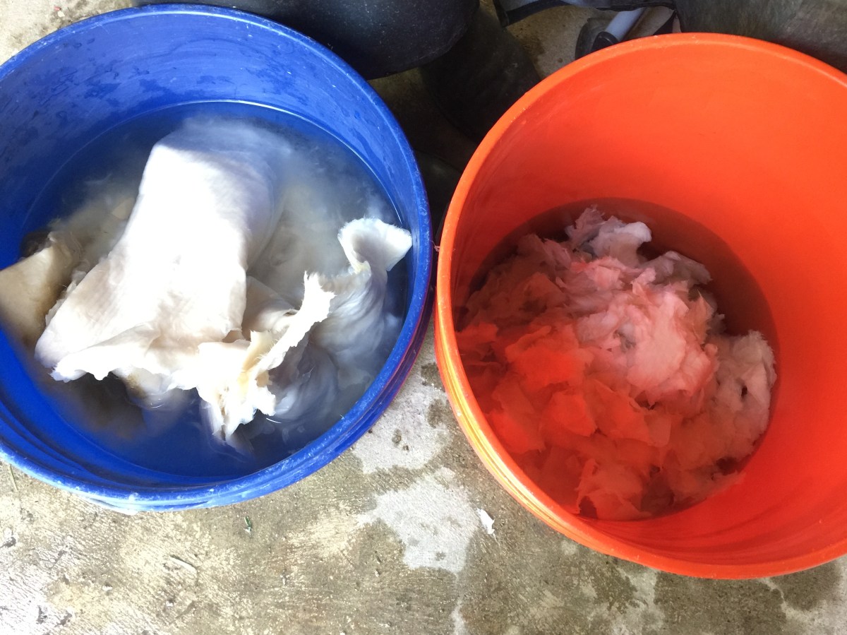 Brooklyn artist, handmade paper, Women's Studio Workshop