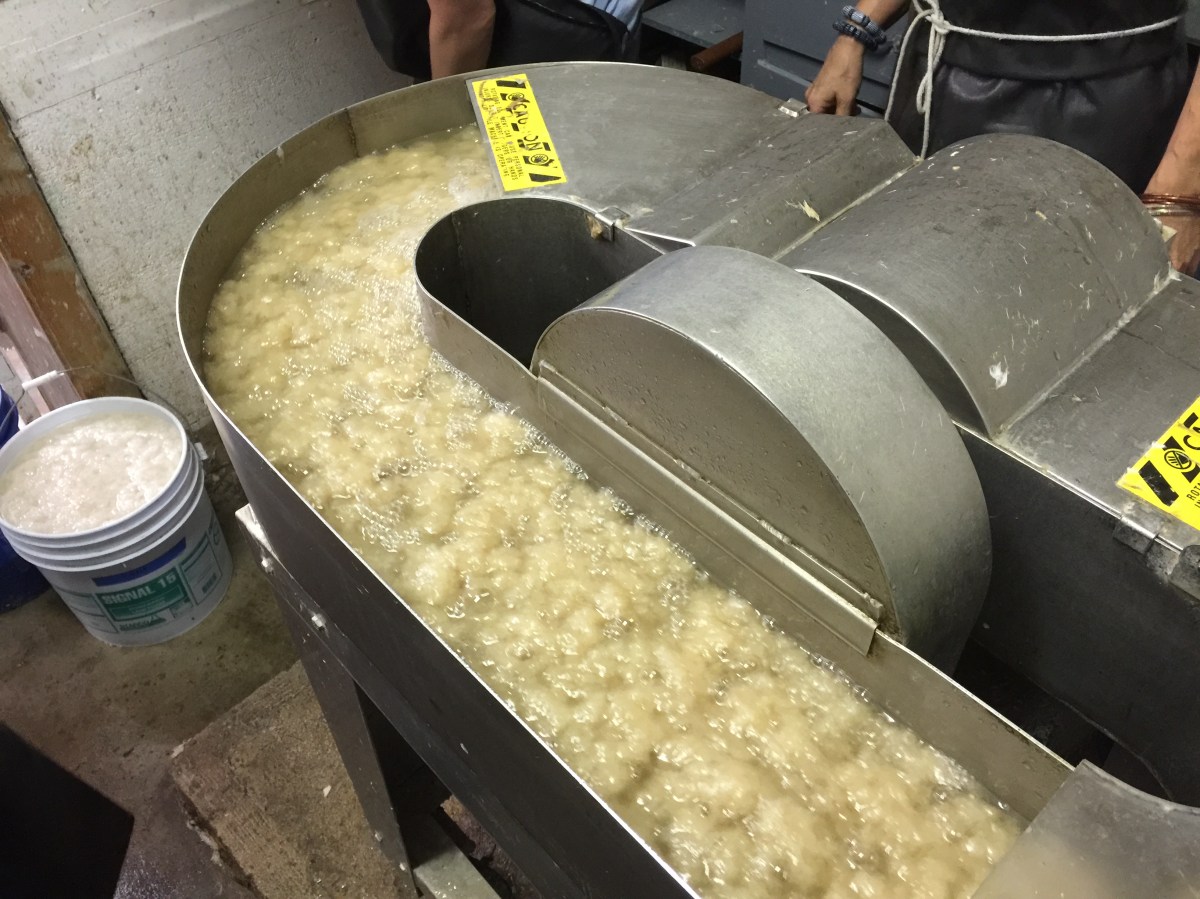 Brooklyn artist, handmade paper, Women's Studio Workshop